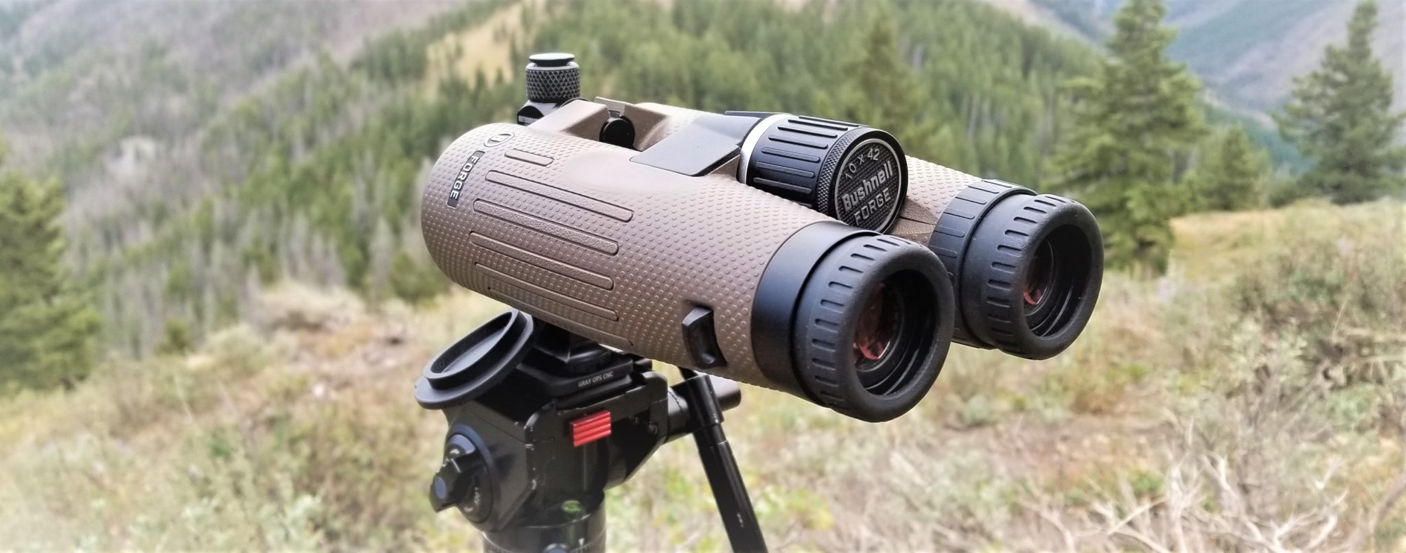 Binocolo Bushnell Forge 10x42 – Vetro ED, Prismi BaK-4, Rivestimento Dielettrico E Barriera EXO – Impermeabile IPX7 - 2