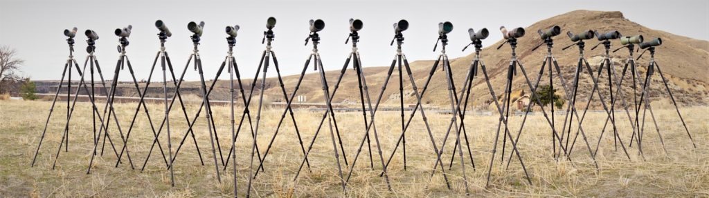 Best spotting scope for hunting