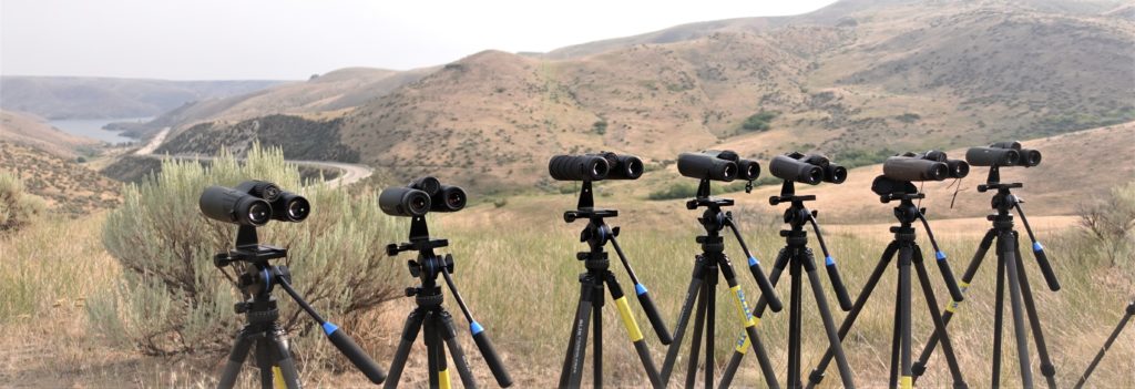 Best binoculars under $500