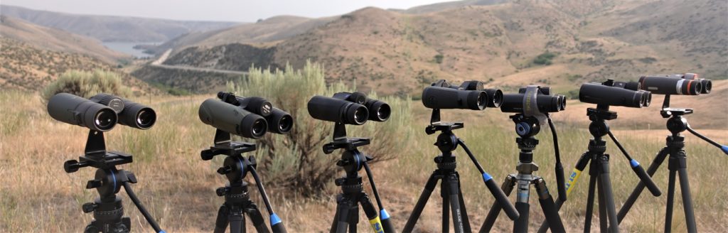 Best binoculars under $1000