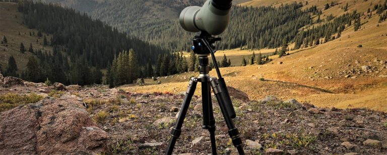 field optics research microlite review