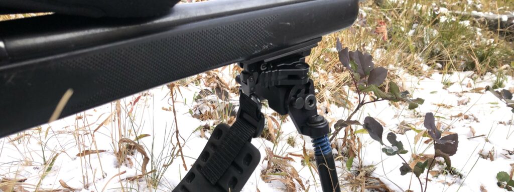 Swagger SFR10 Bipod review