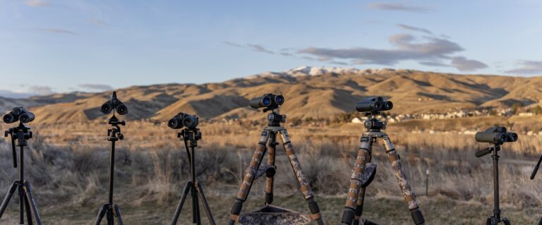 Best rangefinder binoculars for hunting - rangefinder binoculars review