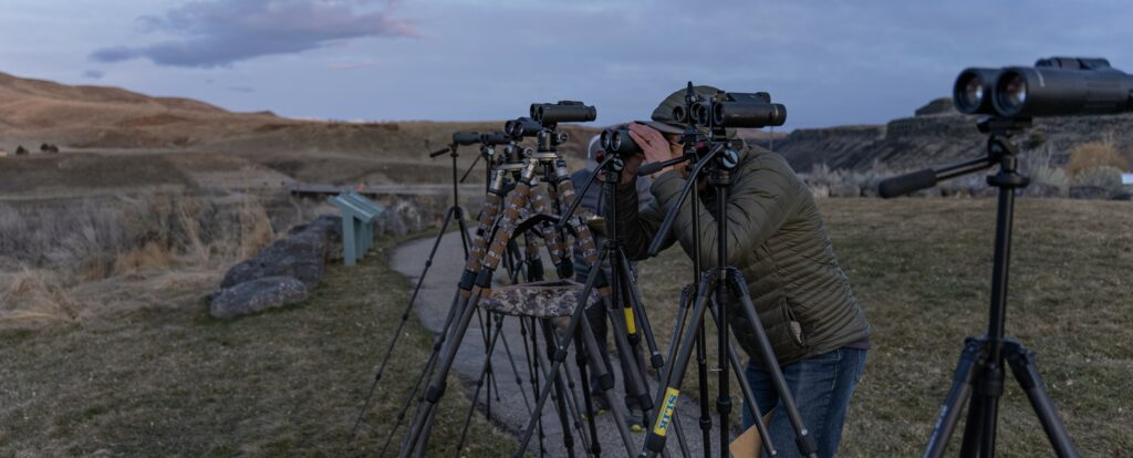Best rangefinder binoculars -Sig Kilo 6K 10x32