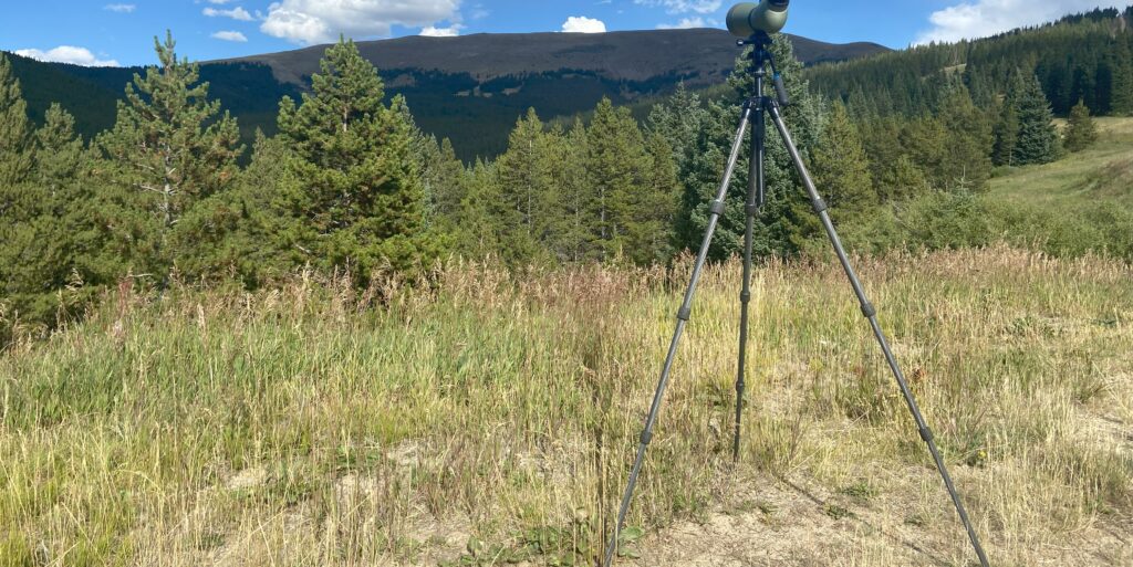 Slik Tripods review - Slik Pro CF-733 vs Slik Pro CF-734