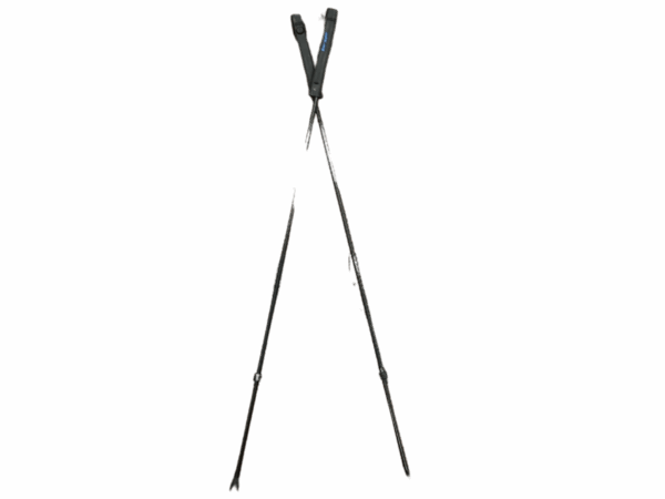 Swagger shooting sticks