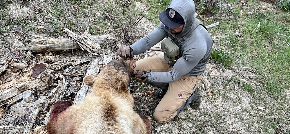 Black Ovis Clothing review