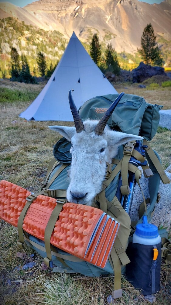 Mystery Ranch Metcalf 75 review