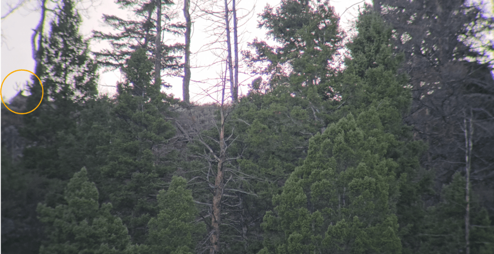 Tract Toric Spotting Scope