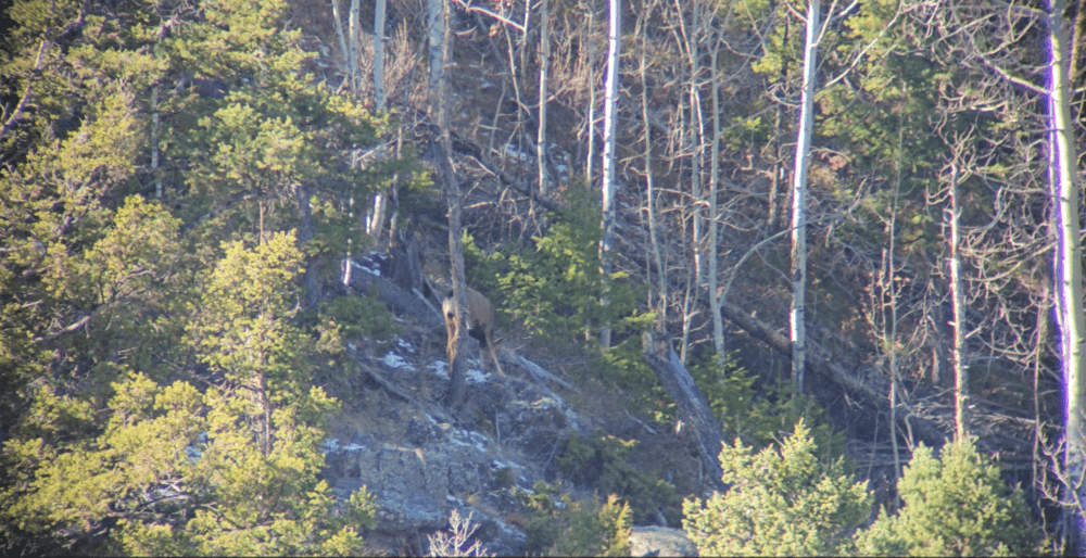 Tract Toric Spotting Scope