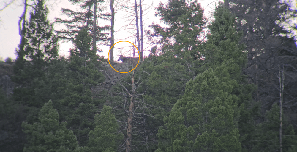 Tract Toric Spotting Scope