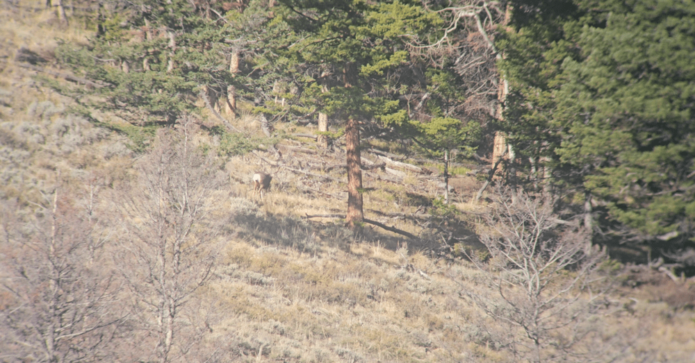 Tract Toric Spotting Scope