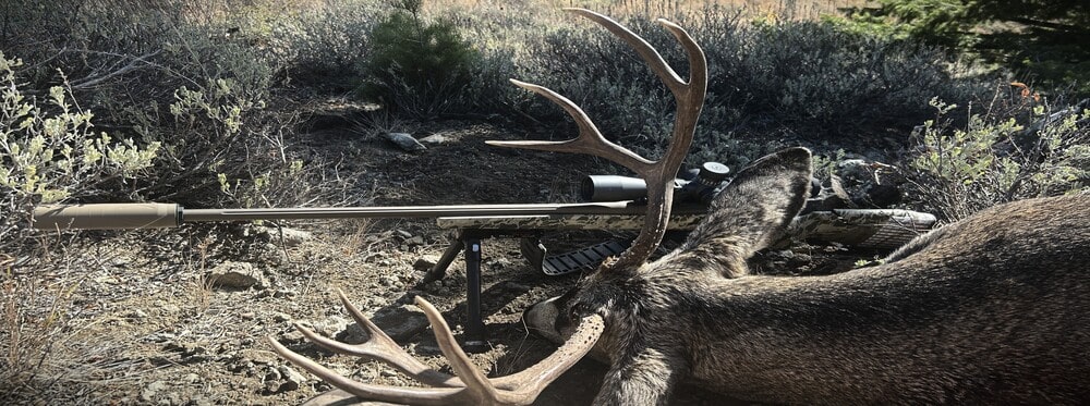 CVA Cascade Long Range Hunter Rifle Review