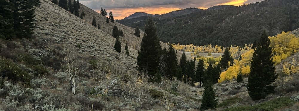 CVA Rifles - CVA Cascade Long Range Hunter Rifle Review