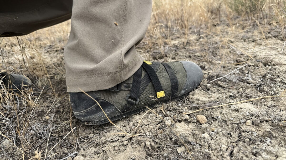 Sheep Feet Stealth Bombers stalking shoes