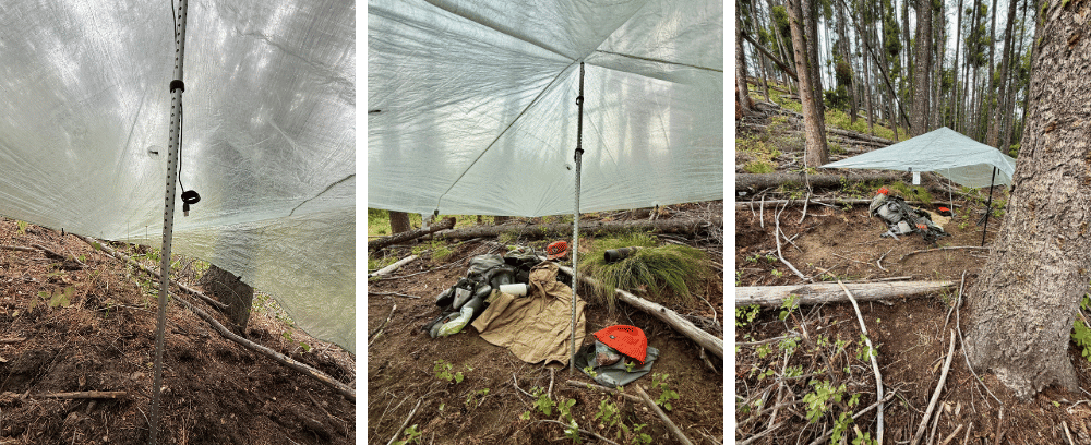 Zpacks Flat Tarp Review | Backcountry Tested Zpacks Flat Tarp review